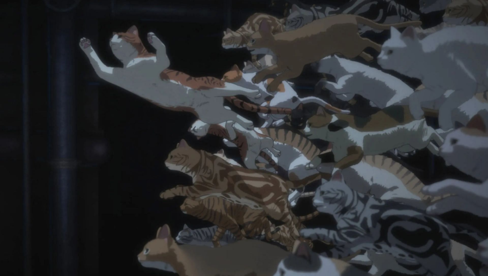 A horde of cats, as seen in the anime (Image via OLM)